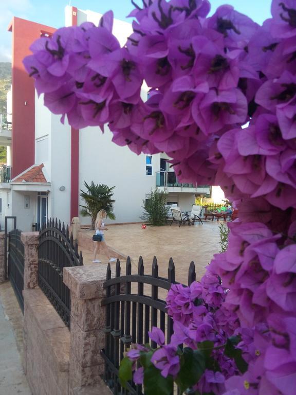 Apartments Vila A1 Dobra Voda Luaran gambar